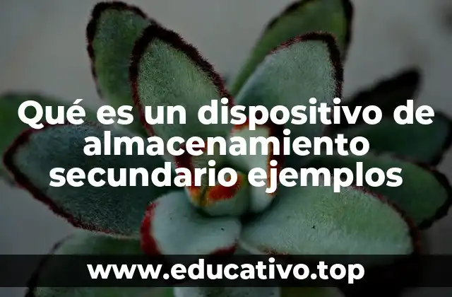 La importancia de los dispositivos de almacenamiento secundario en la gestión de datos