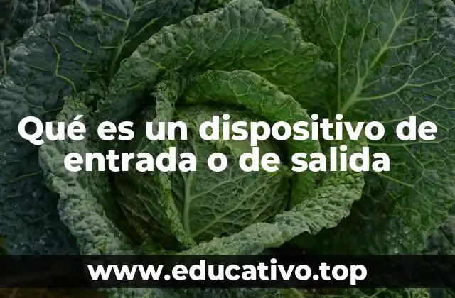 Qué es un dispositivo de entrada o de salida