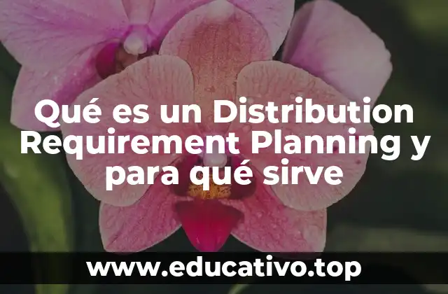 La importancia de la planificación en la distribución de productos