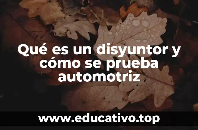 Qué es un disyuntor y cómo se prueba automotriz