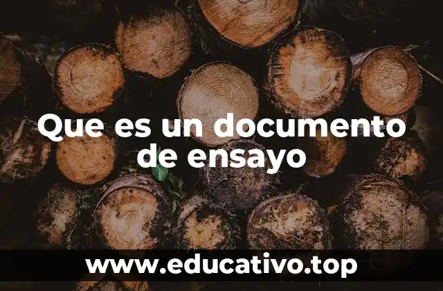 Que es un documento de ensayo