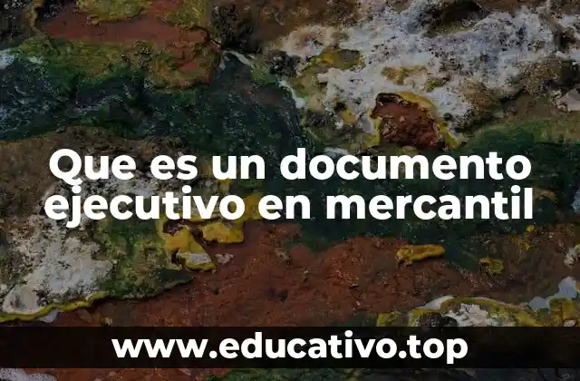 Que es un documento ejecutivo en mercantil