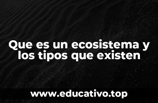 Los elementos que forman un ecosistema