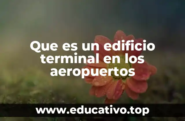 Que es un edificio terminal en los aeropuertos