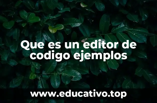 Que es un editor de codigo ejemplos