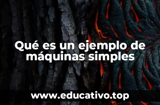 Qué es un ejemplo de máquinas simples