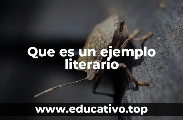 La importancia de los ejemplos en la comprensión de la literatura