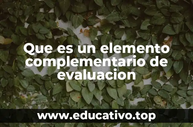 Que es un elemento complementario de evaluacion