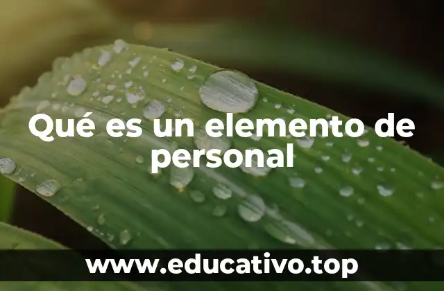 Qué es un elemento de personal
