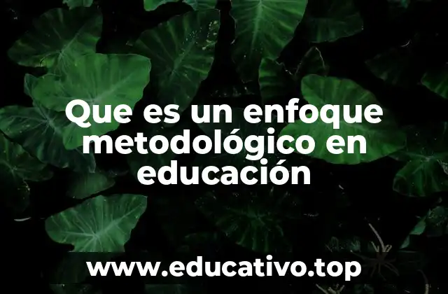 Que es un enfoque metodológico en educación