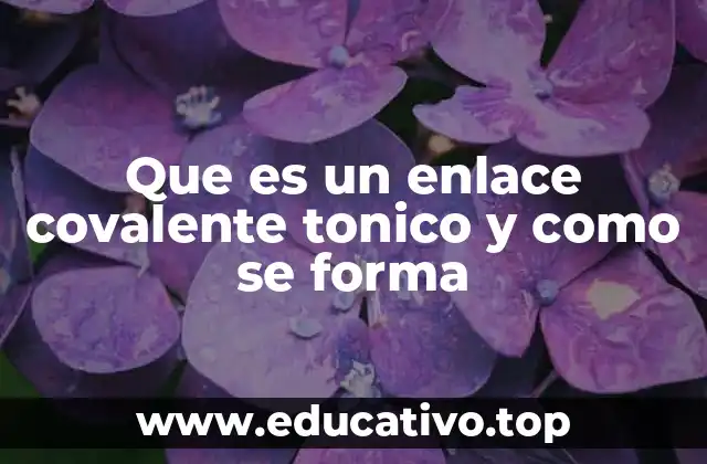 Características y diferencias entre enlaces covalentes polares e iónicos