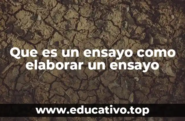 Características del ensayo y diferencias con otros tipos de textos