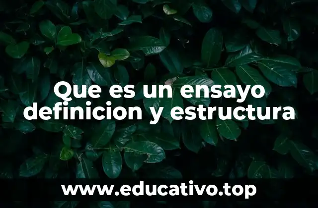 La importancia del ensayo en el desarrollo académico