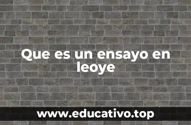 Que es un ensayo en leoye