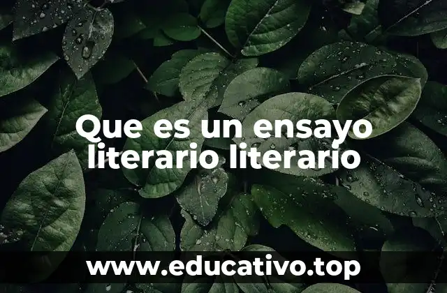 Que es un ensayo literario literario