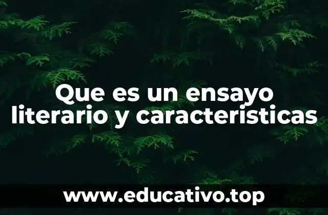 Que es un ensayo literario y caracteristicas