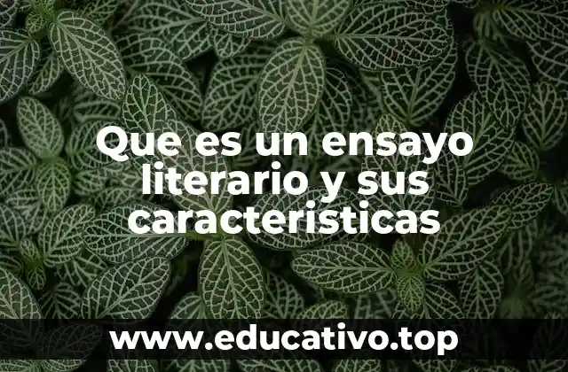 El ensayo literario como herramienta de interpretación artística
