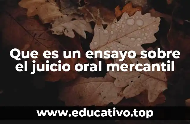 El juicio oral como herramienta para resolver conflictos comerciales