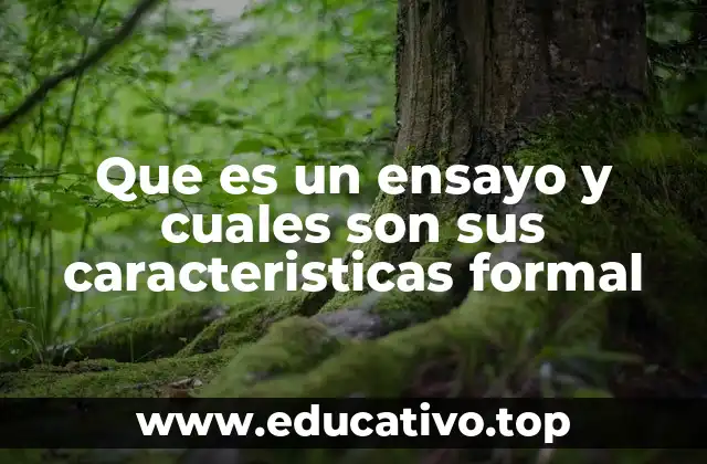 La importancia de la estructura formal en los escritos académicos