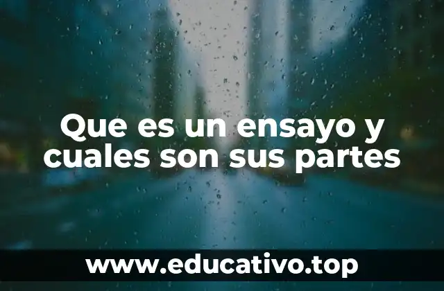 Que es un ensayo y cuales son sus partes