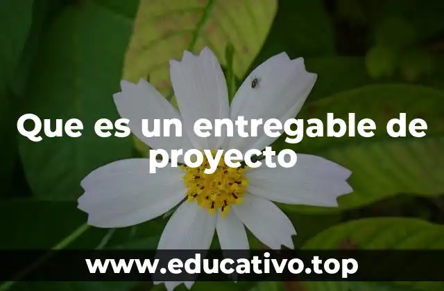 La importancia de los entregables en la gestión de proyectos