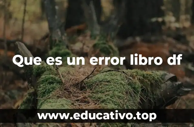 Que es un error libro df