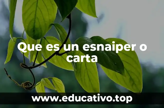 Que es un esnaiper o carta