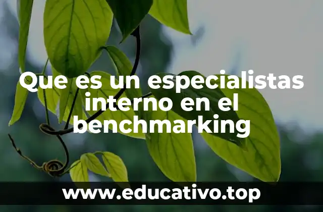 Que es un especialistas interno en el benchmarking
