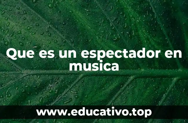 La importancia del público en la experiencia musical