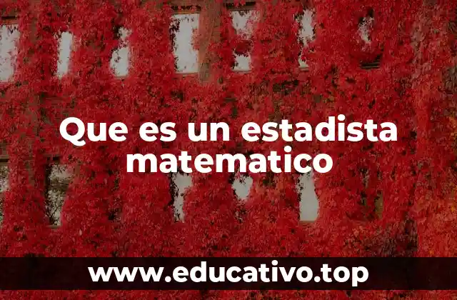 Que es un estadista matematico