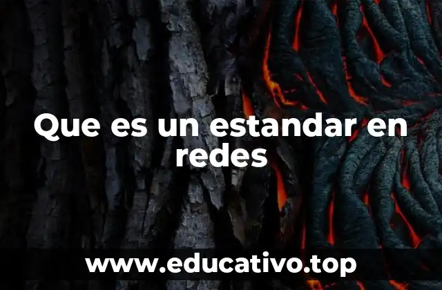 Que es un estandar en redes