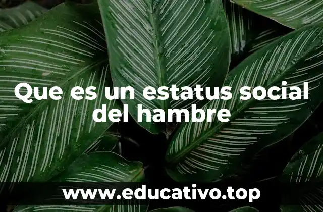 Que es un estatus social del hambre