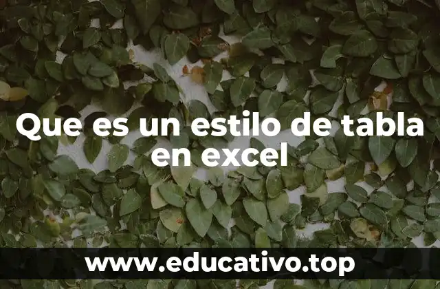 Que es un estilo de tabla en excel