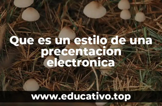 Que es un estilo de una precentacion electronica