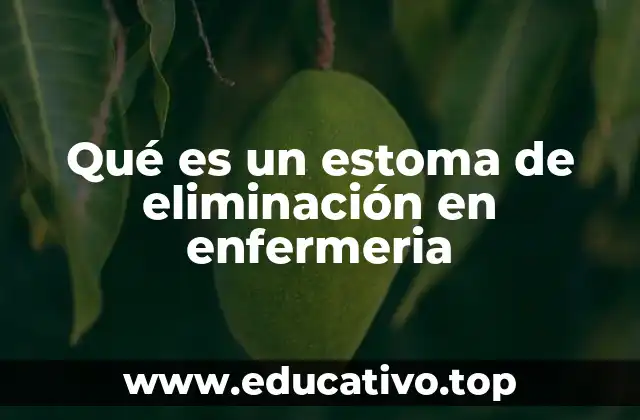 Qué es un estoma de eliminación en enfermeria