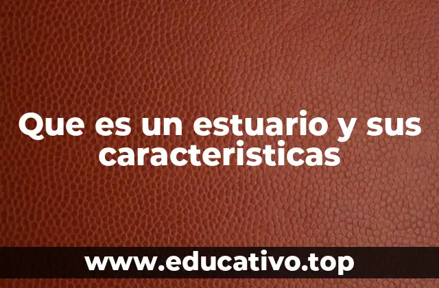 La importancia ecológica de los estuarios