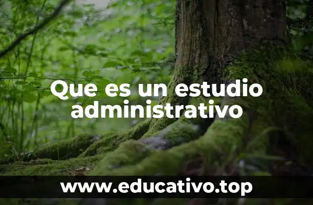 Optimizando la gestión empresarial mediante análisis interno