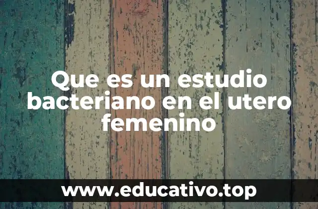 Que es un estudio bacteriano en el utero femenino