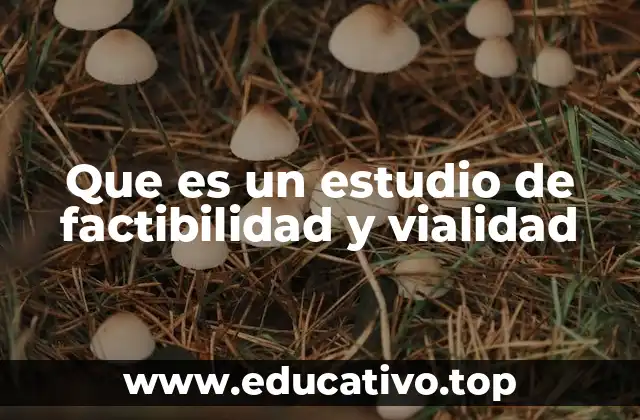 Que es un estudio de factibilidad y vialidad