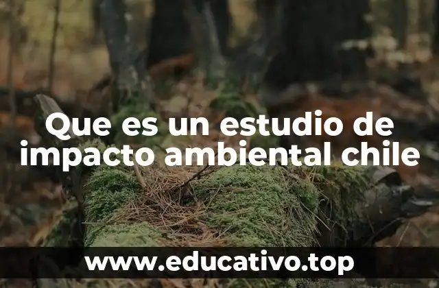 El rol del estudio de impacto ambiental en la gestión pública chilena