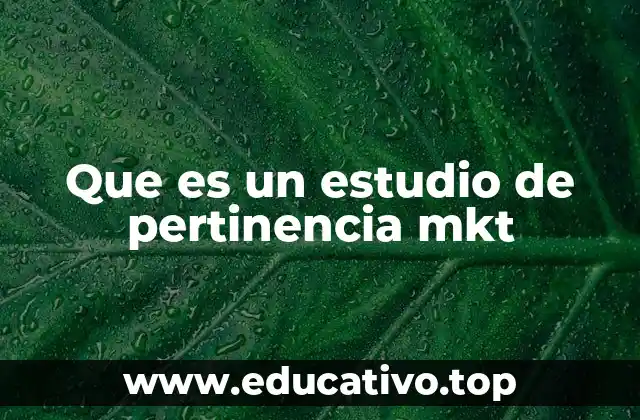 Que es un estudio de pertinencia mkt