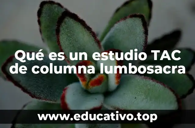Qué es un estudio TAC de columna lumbosacra