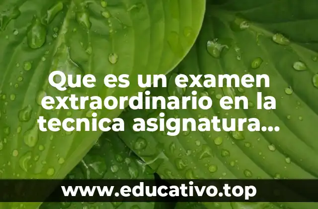 Que es un examen extraordinario en la tecnica asignatura estatal