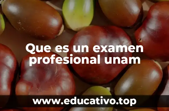 Que es un examen profesional unam