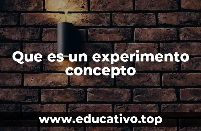 Que es un experimento concepto