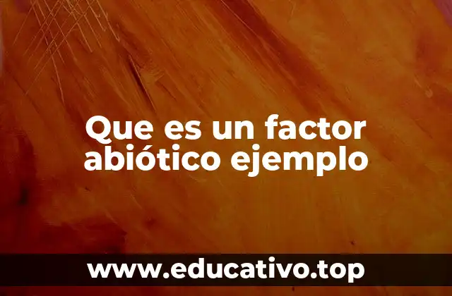 Que es un factor abiótico ejemplo
