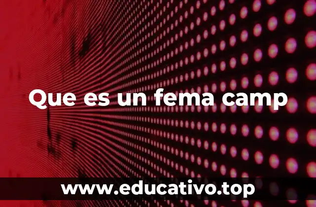 Que es un fema camp