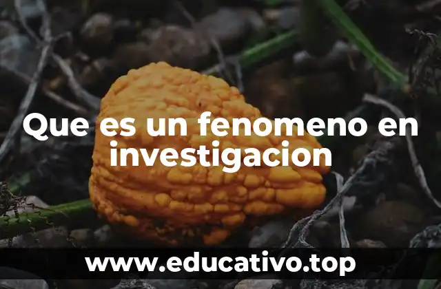Que es un fenomeno en investigacion