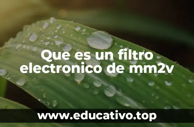 Que es un filtro electronico de mm2v