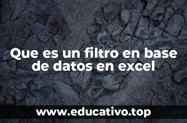 Que es un filtro en base de datos en excel